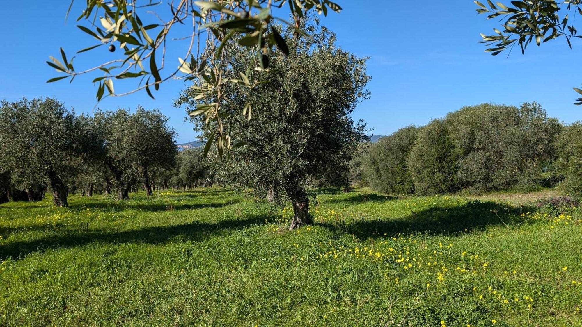 Casale Valverde Альгеро Экстерьер фото